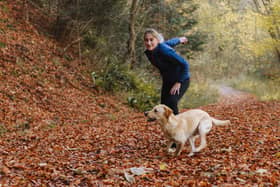 Puppy training classes: learn how to train your dog with this online programme