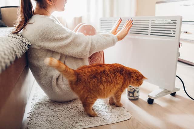 <p>The best electric heaters for winter</p>