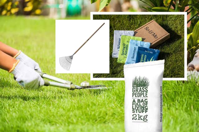 Everything you need to maintain your lawn throughout the year