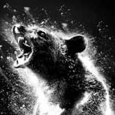 Cocaine Bear is sure to have everyone talking about it.