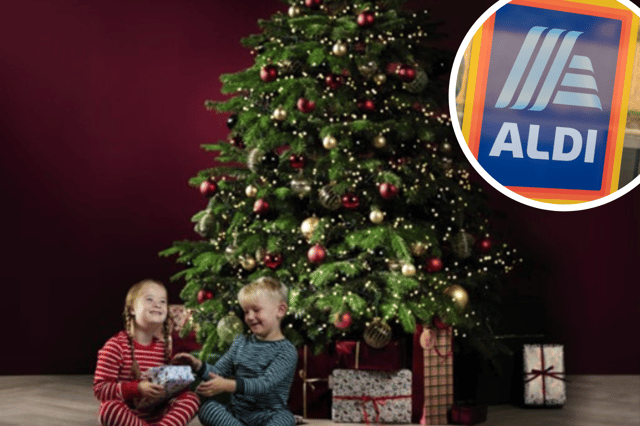 Aldi is selling a real Christmas tree for under £15