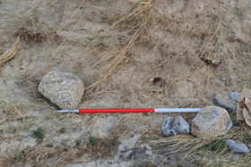 A human skull has been found during a beach clean on the Cornish coast. Photo: Cornwall Council.