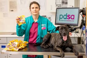 PDSA Veterinary Surgeon Team Leader Clare Sparks with Charlie and a kilo of Mini Eggs at PDSA in Bournemouth