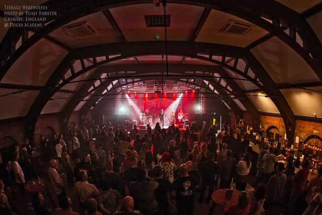 The Cramps tribute band Teenage Werewolves at The Docks Academy, Grimsby (photo: Yusef Forster)