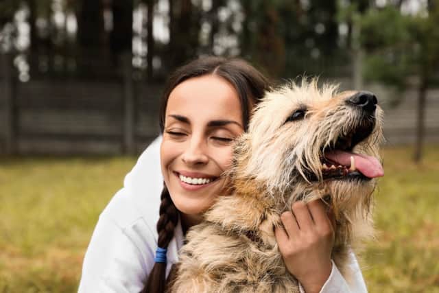 Thousands of new pet owners gave up the pets they bought over the lockdowns (photo: adobe)