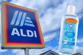 TikTok star shares 5 spring cleaning hacks using 89p Aldi product