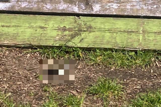 The deliberate act of putting the severed limbs of slaughtered animals on “display” is a key calling card of the notorious UK Animal Killer originally known as the Croydon Cat Killer, campaigners said.