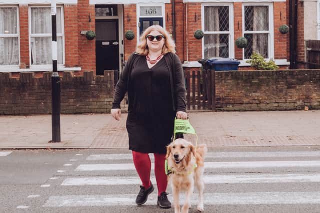 71% of guide dog owners claim their dog is distracted by strangers at least once a day, according to charity Guide Dogs UK (image: PA)