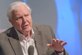 David Attenborough is to issue a stark warning to G7 leaders (Getty Images)