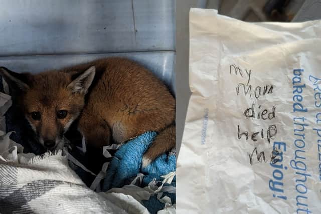 The fox cub was discovered in the village of Langley Moor, Durham in a carrier bag. Inside there was also a message penned on the back of a paper Greggs bag.