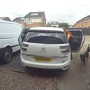 CCTV capturing the moment two dogs enter a family home in Chelmsley Wood, Birmingham, and savage two cats to death.