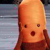 Kevin the Carrot seen here in Aldi's 2022 Christmas campaign, but there’s a new toy being launched (Image: Aldi)