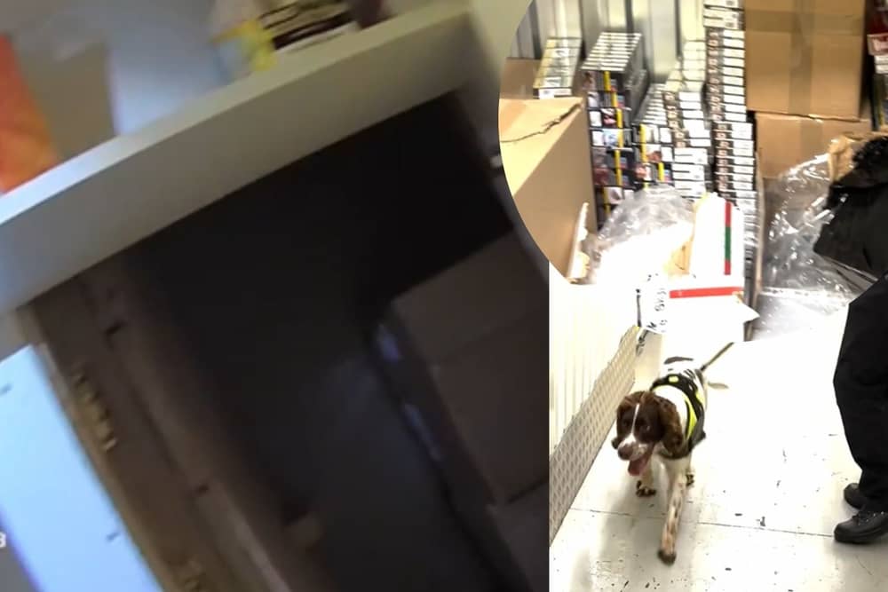 Police sniffer dog finds secret hidden room packed with illicit tobacco belonging to criminal gang