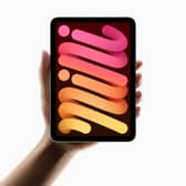 Apple has announced a new iPad mini - and it runs AI! Photo: Apple