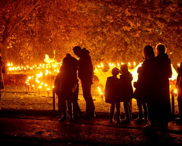 International artists for this year’s Scarborough Lights include Culture Creative. The leading arts company will be bringing a fire garden to South Cliff Gardens from December 18 to 22. 