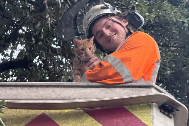 On Monday a team from Knighton Countryside Management, stepped in and used a cherry picker and specialist climbing gear to save the frightened pet.