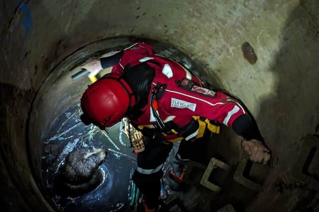 RSPCA member rescues a dog trapped in a shaft in Durham.