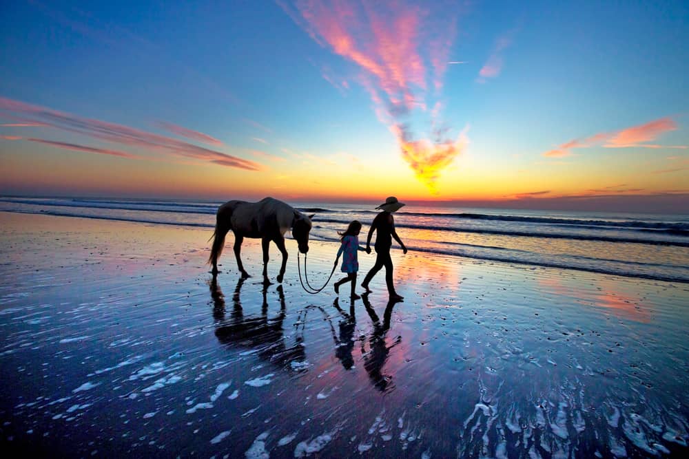 Amelia Island in Florida has 13 miles of picturesque and pristine beaches
