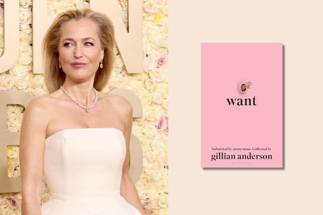 Gillian Anderson’s sex book ‘Want’ is now on sale with 58% off the original price on Amazon