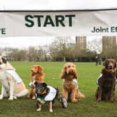 Olympian vet Laura Muir is challenging pet owners to get all dogs out for more exercise.