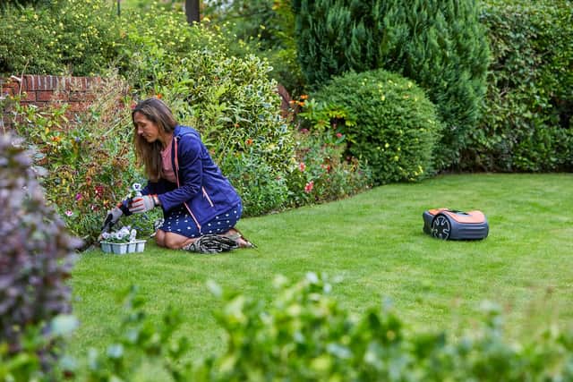 Robot lawnmowers quietly get on with their duties, giving you more time to do other gardening jobs