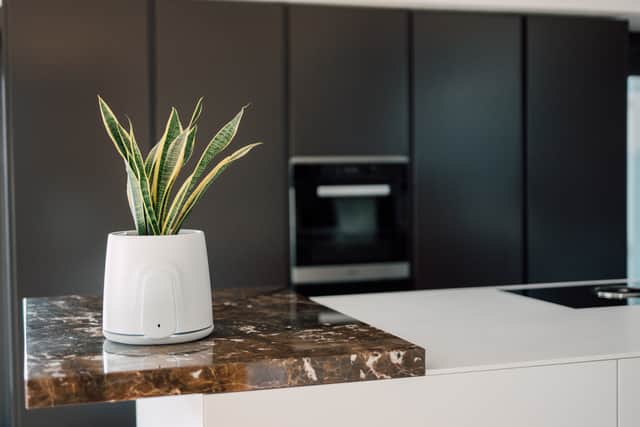 You choose your own plant, but Vitesy will recommend the best ones for the job