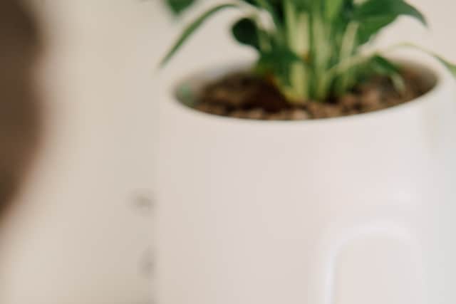 The Vitesy app is easy to use, and will notify you of any problems