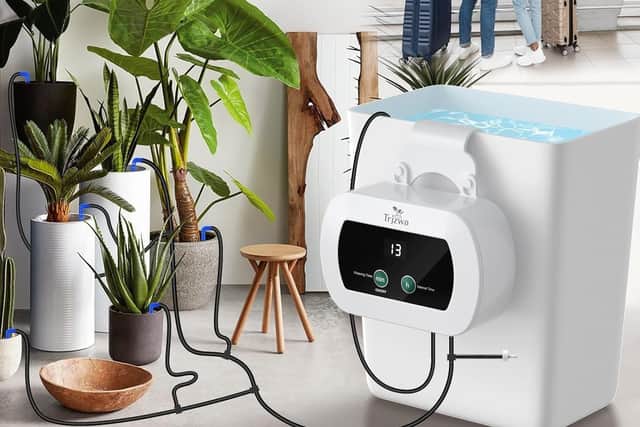 This simple indoor kit is ideal for pots