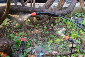 Automatic irrigation systems allow you to enjoy your garden without having to water it yourself