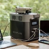 The Delta 2 can power all sorts of devices