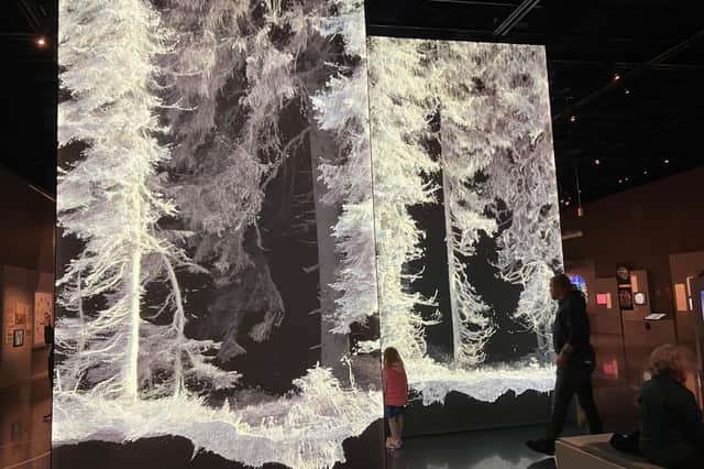 One of the exhibits at Ars Electronica in Linz