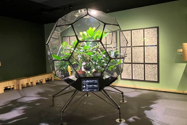 One of the exhibits at Ars Electronica in Linz - a biosphere