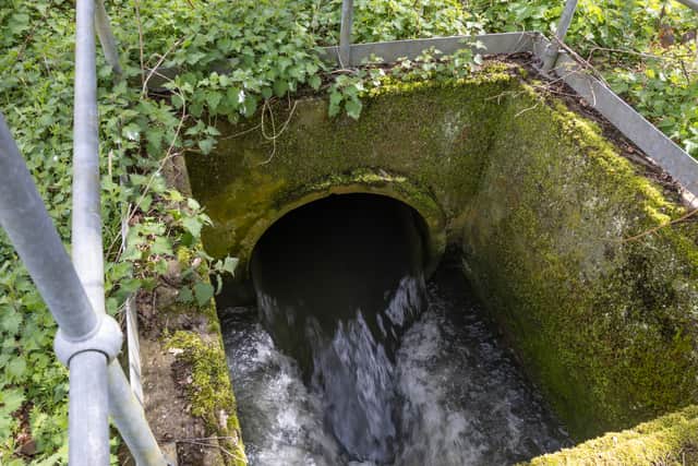 Sewage is discharged into Earlswood brook from a nearby treatment works, run by Thames Water in April 2023 in South Earlswood, England (Photo: Dan Kitwood/Getty Images)