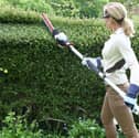 The hedge trimmer is set to 1.85 metres for easy handling and storage, but it extends to 2.8 metres