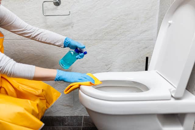Cleaning the toilet topped the list of most thankless household tasks