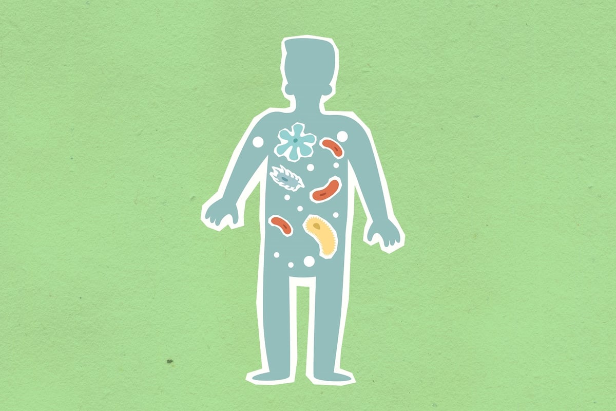 The correct time to take probiotics for your gut health - according to a nutrition expert