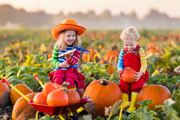 The UK's 10 best pumpkin patches for your family-friendly festival fun this Halloween