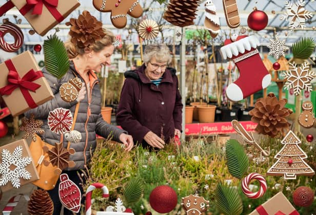 Looking for that additional Christmas ornament or wreath for the festive season? Take a look at our nine picks of garden centres for your Christmas sundries in 2025.