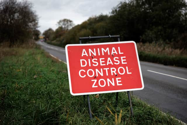 There is a bird flu outbreak across Yorkshire.