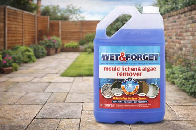 Wet & Forget is rarely seen this cheap - and it's a perfect time of year to use it