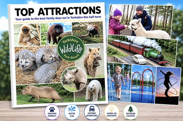 Top Attractions - your best family days out in the region this half term