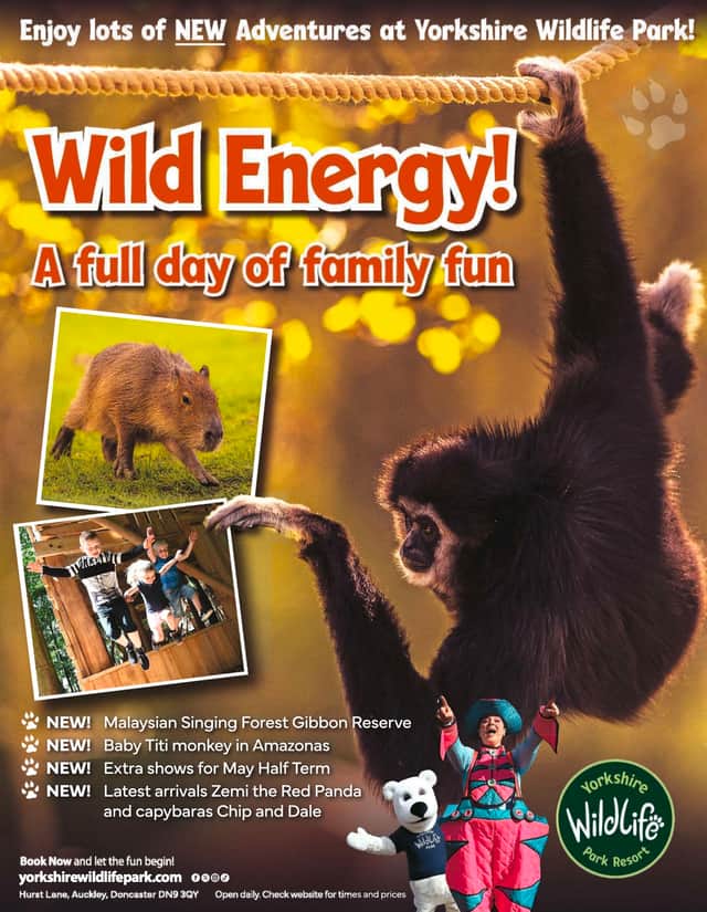 Wild energy - a full day of family awaits at Yorkshire Wildlife Park