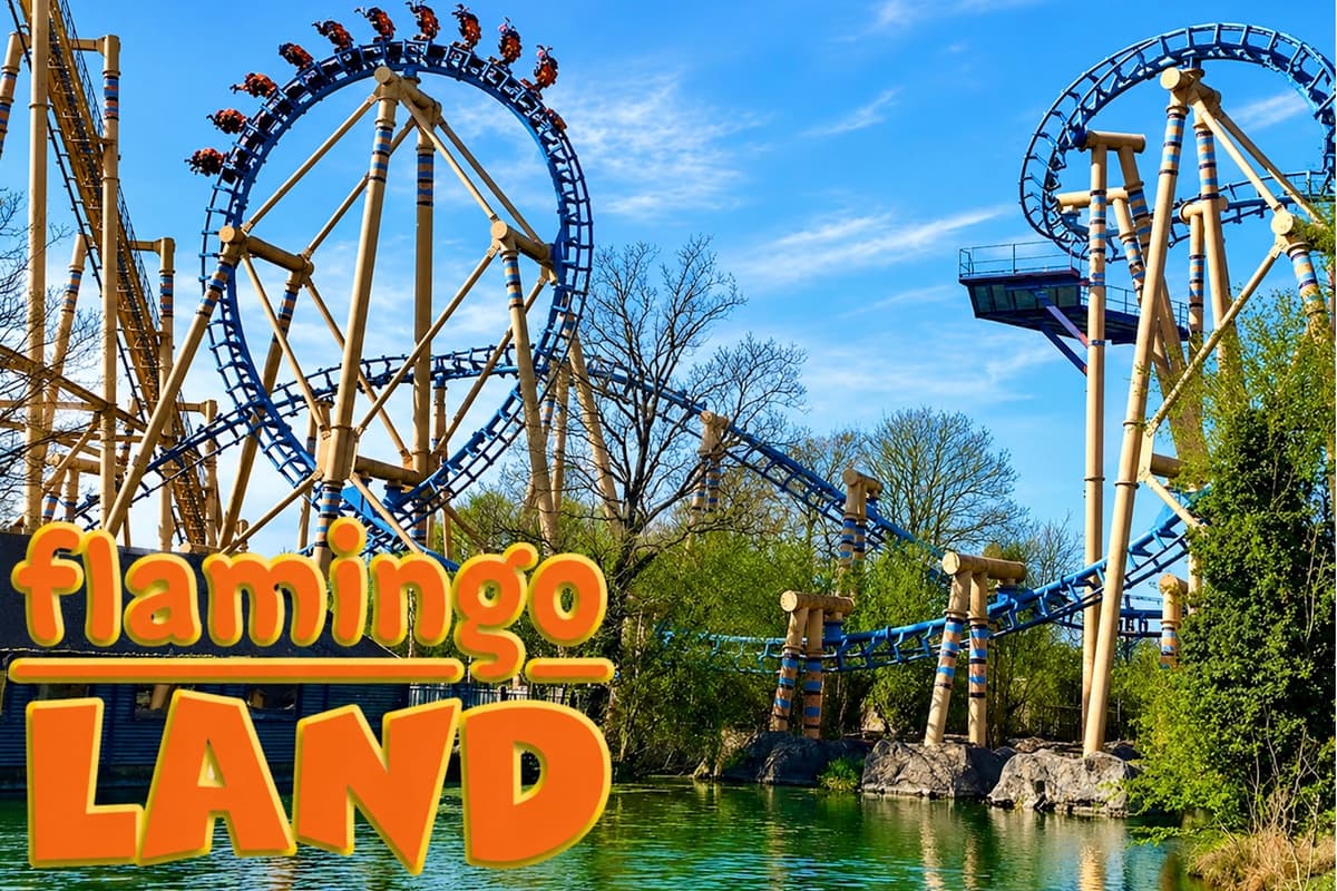 PRICE DROP: 50% off Flamingo Land theme park and zoo entry - save £29 a ...