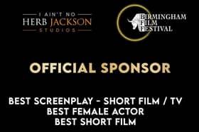 Birmingham Film Festival is a 10-day international film celebration 