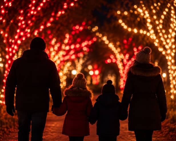 Winterlight blends dramatic architectural lighting with bespoke light installations.