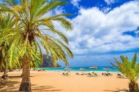 Tenerife sunshine awaits Yorkshire holidaymakers in the Hays Travel online sale
