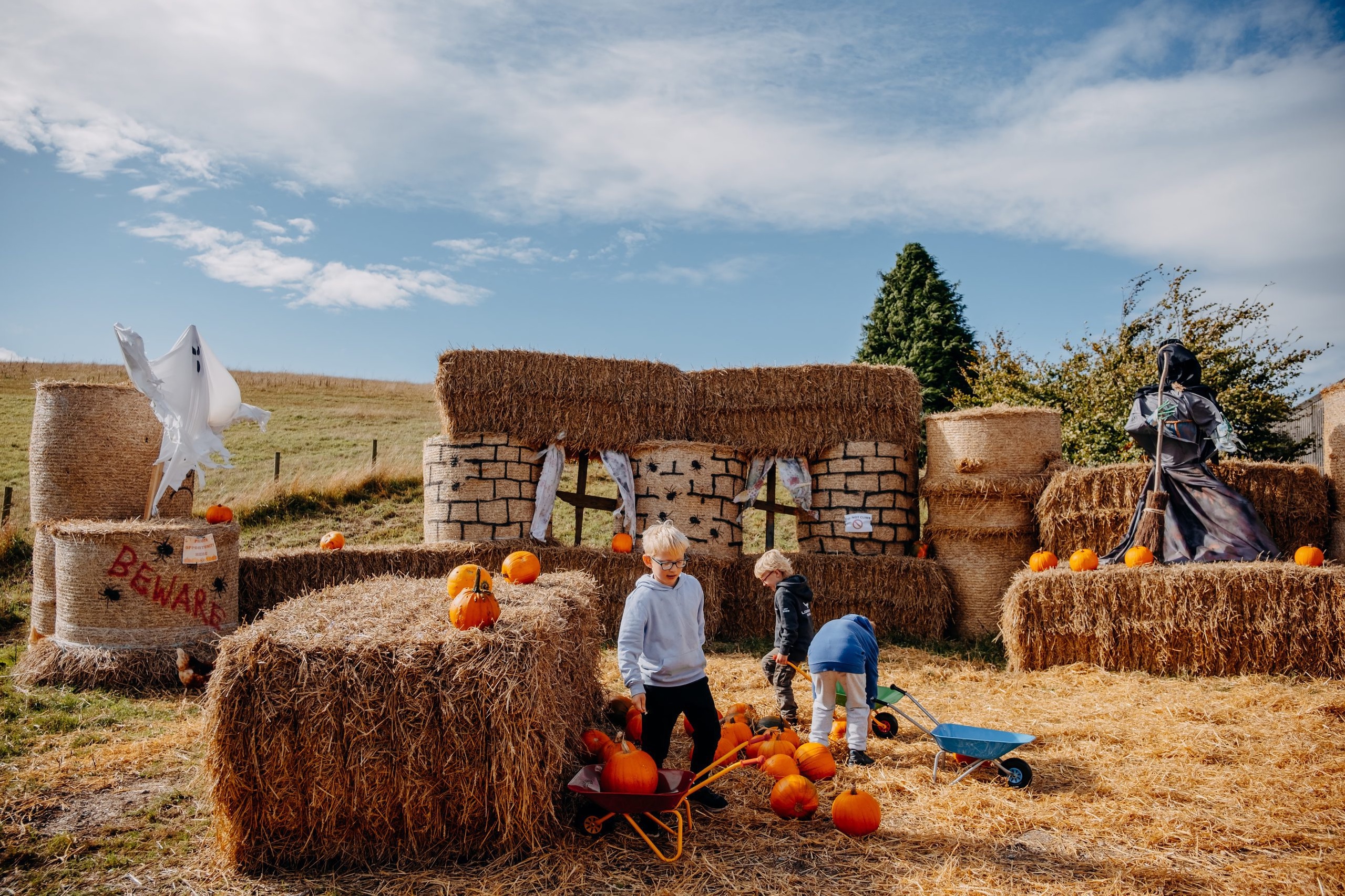 Humble Bee Farm Pumpkin Festival 2026!