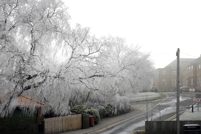 File photo. Frost Scarborough.