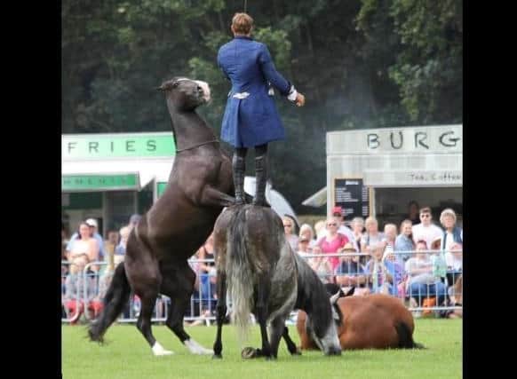 Atkinson Action Horses will perform at the Great Yorkshire Show in 2020.