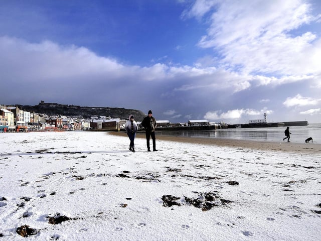A gorgeous blue sky over a snow South Bay.